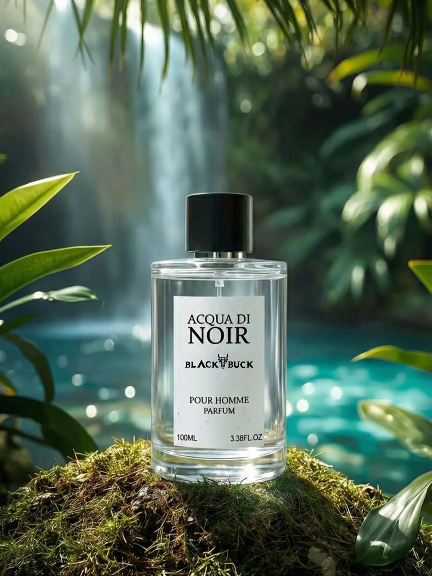 Acqua Di Noir Eau De Parfum